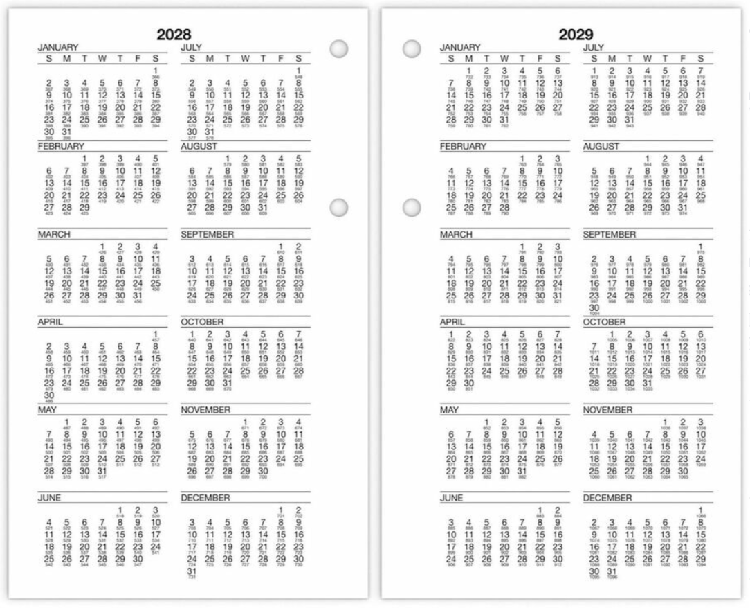 At-A-Glance Burkhart's Day Counter Loose-Leaf Desk Calendar Refill - E712-50