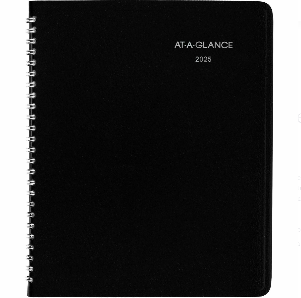 DayMinder Planner - G40000